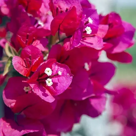 Luzia Agriresort - Piscina Idromassaggio Con Vista Mare Aperta Fino Alle 23-00