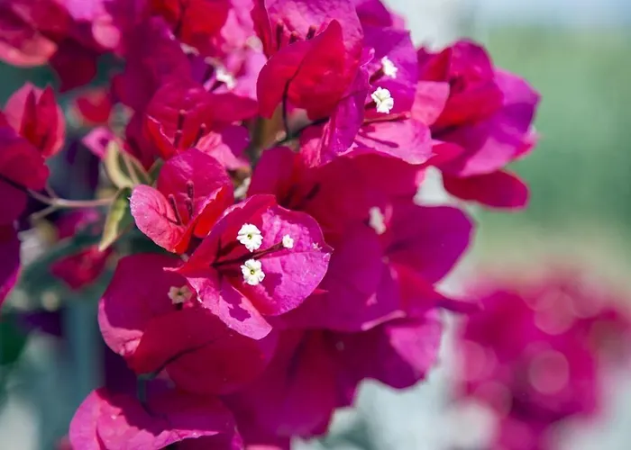 Luzia Agriresort - Naturally - Mediterranean - Elegance